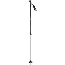 로시놀 로시뇰 Rossignol BC 100 폴스, None, 90-150 CM