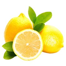레몬140과17kg 추천 상품 모음