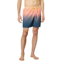 Quiksilver 남성 표준 에브리데이 워프 로고 17 발리 수영 트렁크 보드쇼츠 스노클 블루 5479235846, X-Large