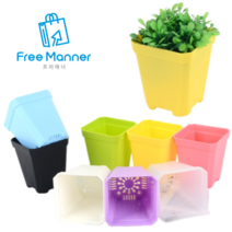 [FreeManner] 플라스틱 미니 사각 화분 10P 다육이 허브 반려식물, 연보라색