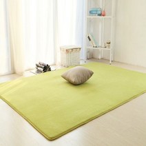 안티 슬립 거실 매트 러그 카펫 침실 깔개 주방 욕실 홈, Green_50x80cm