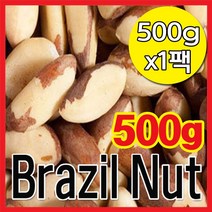 큰나무 햇 브라질너트 페루산 완태 무염 견과류, 500g, 1팩