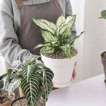 베란다 홈가드닝 실내인테리어 작은정원 아트화분 4호, 라이트브라운