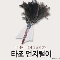 신발털이개 먼지털이 먼지털이개 극세사걸레 털이 극세사 타조