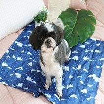 강아지쿨매트 고양이 여름 방석 쿨링 냉감 대형 냉장
