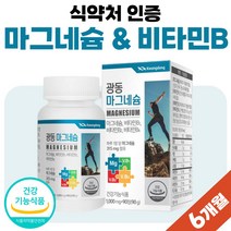 B군 50대 60대 40대 수용성 비 타민 정 마그네슘 비타민B 3종 영양제 컴플렉스 프리미엄 식약처 인증 건강 기능 식품 약 3개월분 여자 비타민 B1 B2 B6 비군 비타민비, 90정 x 2개 (6개월분)