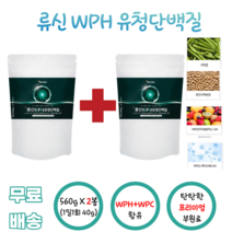 류신 WPH 유청단백질 560g 아미노액티브BCAA 비타민미네랄믹스 SA L로이신 완두단백분말 WPC 류신 구아검 HH 에이치에이치 수크랄로스 남녀노소 운동인 단백질분말 부담없는, 2봉