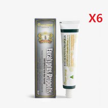 호주 탑라이프 유칼립투스 프로폴리스 치약 120g-6개, 6개
