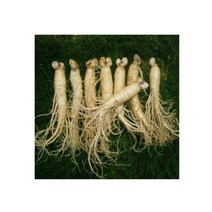 참인삼 수삼 원수삼 특대 (7-8뿌리) 750g 한채, 세척안함(자연그대로)