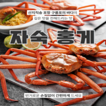 홍게 제철 자숙 대게 감동수산 박달 게 포항 죽도시장 구룡포 수율보장[선주직송], 실속형 홍게10마리