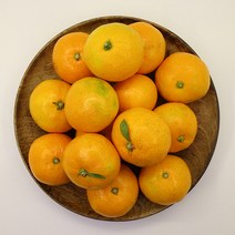 [초록자연] 제주 타이벡 감귤 5kg (특대과)타이백감귤, 상세 참조