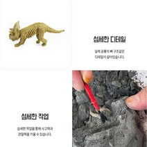 과학재료 고고학 공룡을 찾아라 화석발굴 체험키트 초등학생 선물 발굴세트 공룡화석 5살 공룡만들기 공룡발굴