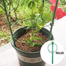 골든트리 원형 화분 울타리 식물 지지대 45 x 18cm 원형틀 꽃 작물 보호대