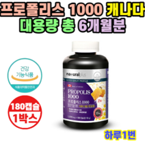 내츄럴플러스 프로폴리스 1000 180캡슐 6개월 대용량