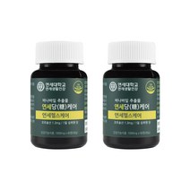 연세 당케어-무료체험 2개월분포함 바나바잎추출물 연세생활건강, 2병(4개월분)