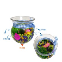 5살 6살집콕놀이키트 마리모어항만들기 복지프로그램 어린이만들기키트 퍼포먼스미술 돌봄놀이 미술재료
