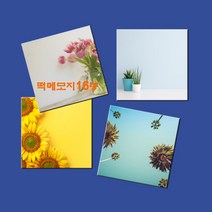 예닮 다쿠용 정사각 메모장 떡메 캐릭터메모지 귀여운메모지 예쁜메모지 칼라 대떡메 떡메모지 도안 떡메모지 제작 2권, 봄
