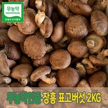 장흥 표고버섯 생 표고 상품 가정용 실속형 버섯 1kg 2kg, 가정용 2kg, 1개