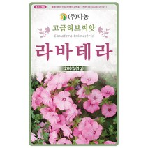 마가렛 1g - 마가렛트 금황꽃 허브 허브씨 허브씨앗 씨 씨앗 마가렛씨앗 마가렛씨 꽃씨 꽃씨앗 다년생 여러해살이 나무쑥갓 marguer, 07_다농_라바테라(1g)