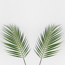 블루밍앤미 아레카야자 조화 2p, 2개