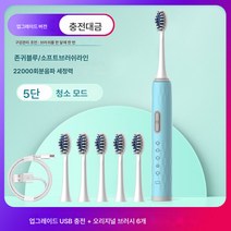 전동칫솔 음파 USB 충전 성인용 연모 전동칫솔 소매 발렌타인 선물, 하나