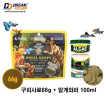 구피사료66g + 알게와퍼100ml 세트 구피먹이 안시밥 코리도라스사료 바닥물고기 코리 비파, 1세트