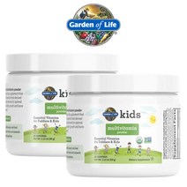 Garden of Life 어린이 종합비타민 15가지 키즈 멀티비타민 미네랄 가루 파우더 60g 2팩