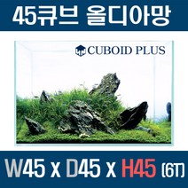 칸후 고퀄리티 45큐브 올디아망 어항 45X45X45(6T)