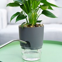 앙플랜트 저면관수 자동급수 원형플라스틱화분 미니 소 중.대 (화이트 그레이), 저면관수 원형플라스틱화분 그레이, 대 (23.5cm)