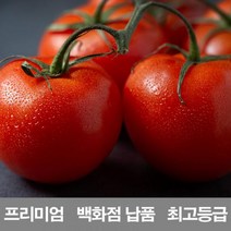 영화청과 국내산 토마토 10kg 프리미엄 백화점 남품 요리 즙 키우기 재배, 쿠팡 최고의상품 1, 쿠팡 최고의상품 본상품선택