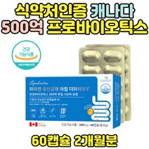 식 약 처 인증 100억보장 프로바이오틱스 17 생유산균 락토 바실러스 핏 루테리 가세리 비피더스유산균 성인 청소년기 학생 추천