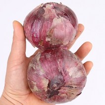 적양파(대) 1kg 팔팔마켓 무안 빨간 자색 붉은 햇양파