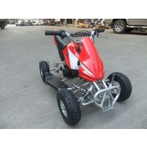 49CC 오토바이 다목적운반차 네발오토바이 농업용사륜바이크 레저용 산악 오프로드, 녹색