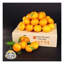 서귀포 하례마을 노지감귤 3kg ( L/2L 30과 내외)