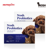 노쉬 240억 프로바이오틱스 강아지 고양이 유산균, 2박스