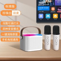마이크 블루투스 노래방 무선 휴대용, 공식 표준, 화이트 마이크2개