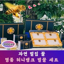 [허니뱅크] 천연 벌집꿀 선물세트 (300g x 4세트) 꿀 효능 토종 벌꿀 프로폴리스 아카시아 로얄제리, 사양 벌집꿀 단품포장 (300g)