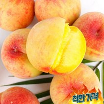 백도 황도 털 말랑이 16-18과