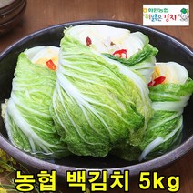 맛있는 백김치 5kg 국산 농협 배추백김치, 100% 국내산 백김치 5kg