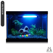 [스토어봄] NEW 고운물(소) 구피세트 - (구피어항 구피키우기 수조)-미미네아쿠아, 상세 설명 참조