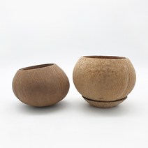 식물시간 cocopot 코코넛 화분 자연 소재 소품 화분커버, saucer