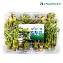 [고산농협] 전북 완주 동상골 나무 참두릅 800gx2팩, 단품