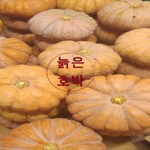 늙은호박 누리농산 산지직송, 3kg 이상, 1개