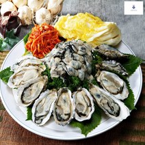 아름다운정성 생굴 하프셀 반각굴 찜용굴 석화, 햇 생굴500g
