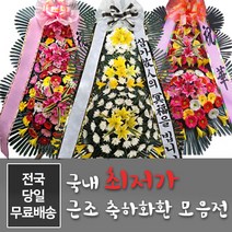 청담플라워 전국1등업체 전국 어디든 3단화환 근조화환 당일 전국 꽃배송 장례식 결혼식 축하 개업 생신 생일 부고 경조 오픈 조문 추모 어버이날, 정품 기본 근조 바구니