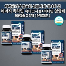 남성 호르몬제 지구력 증진 활력 체력 관리 보충 기운없을때 활력제 피로회복제 호르몬 보충제 zincpicolinate 캐나다 에너지 옥타민 옥타코사놀 비타민 B군 영양제 90정, 3개
