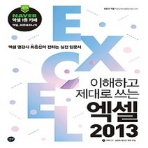 [개똥이네][중고-상] 이해하고 제대로 쓰는 엑셀 2013