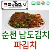 입점특가 한국농협김치 순천 남도 파 김치 1kg 전라도 HACCP