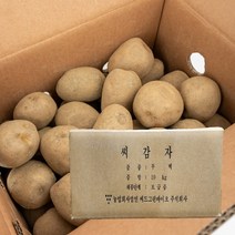 강원도 정품 채종 씨감자 두백 10kg 보급종 감자씨
