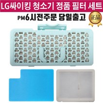 LG정품 싸이킹 청소기 필터 에어/배기 필터 세트 (즐라이프 당일발송), 1개